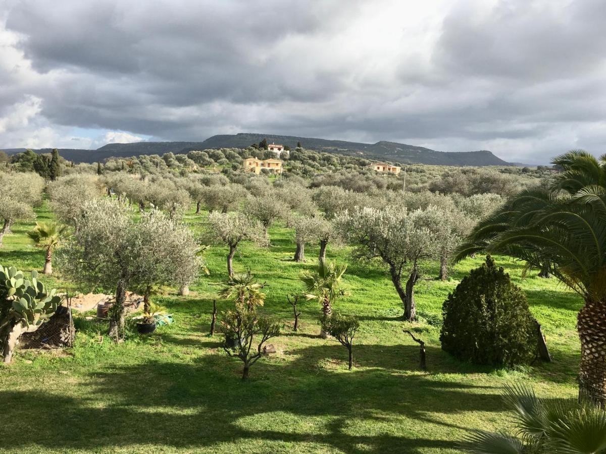 Villa Culla Di Jana Альгеро Экстерьер фото